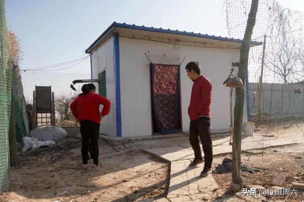 農村小夥買下80只草原兔,在野外散養3年賺35萬元,看有啥秘訣 農村小夥買下80只草原兔,在野外散養3年賺35萬元,看有啥秘訣