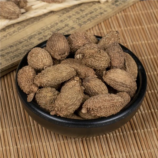 養生知藥 | 砂仁 養生知藥 | 砂仁