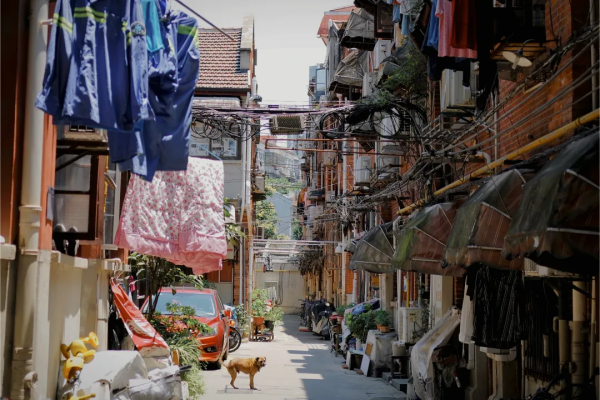 無弄堂，不上海