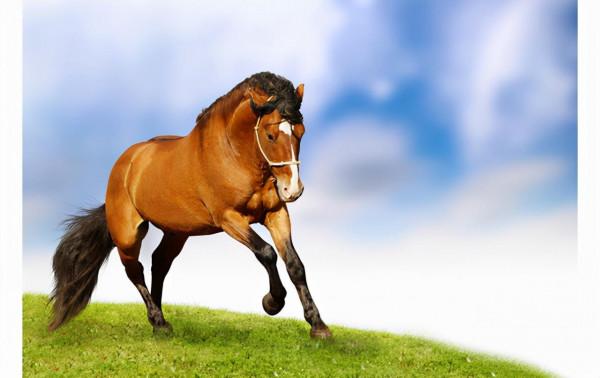 千里風 萬里雲 千里風 萬里雲