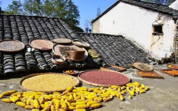 現代詩:《空蕩蕩的村莊》 現代詩:《空蕩蕩的村莊》