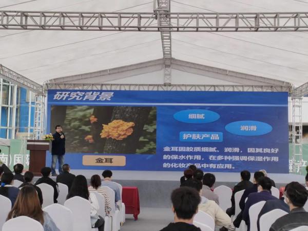 雞樅人工種植成功？野生食用菌產業大會，重新整理你對食用菌的認知