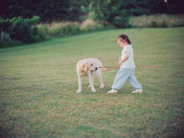 阿那亞新作,75m²獨梯獨戶寵物酒店,狗生圓滿不過如此 阿那亞新作,75m²獨梯獨戶寵物酒店,狗生圓滿不過如此