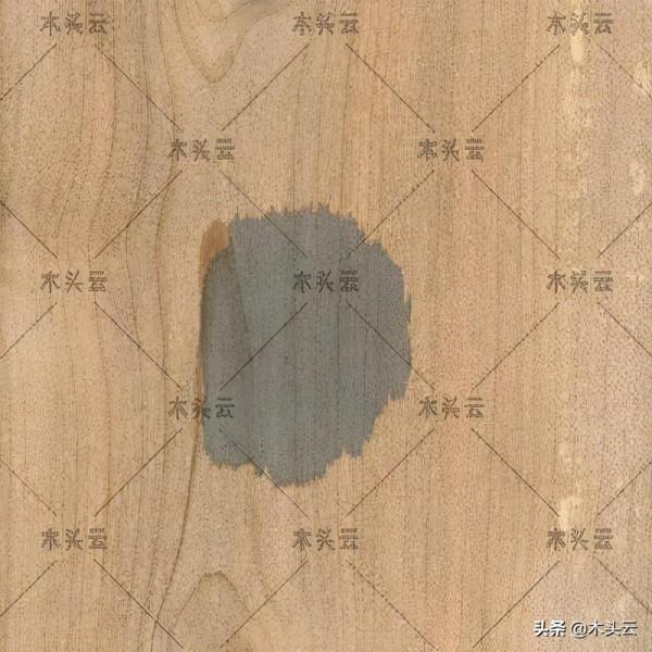 滿滿乾貨！教你如何區分實木傢俱中的硬楓和軟楓（建議收藏）