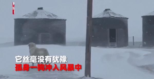 如 何 讓 一 只 邊 牧 失 去 尊 嚴 如 何 讓 一 只 邊 牧 失 去 尊 嚴