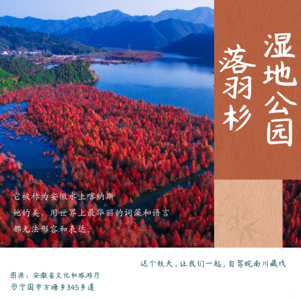 安徽秋色末班車,你趕上了嗎? 安徽秋色末班車,你趕上了嗎?