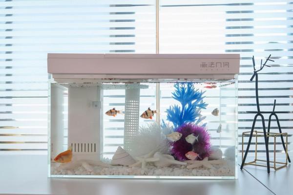 最新養魚神器，AI智慧模組化魚缸，用黑科技養魚