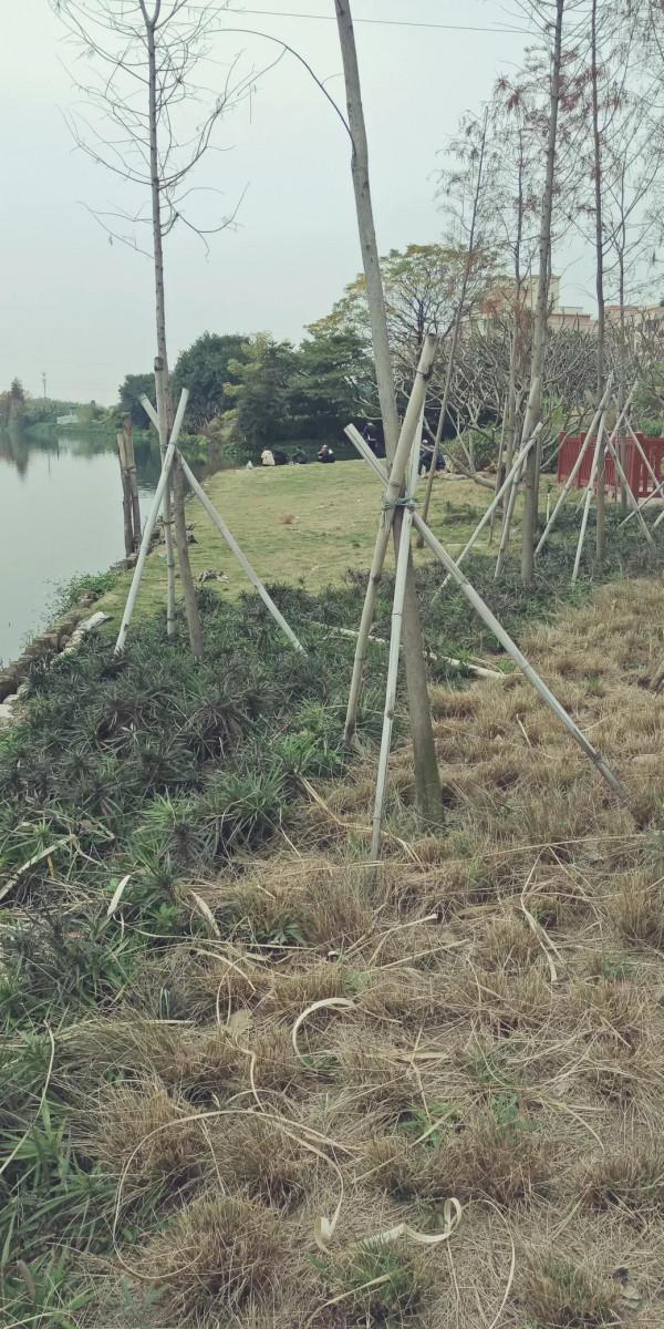 你一天垂釣，釣的是什麼？