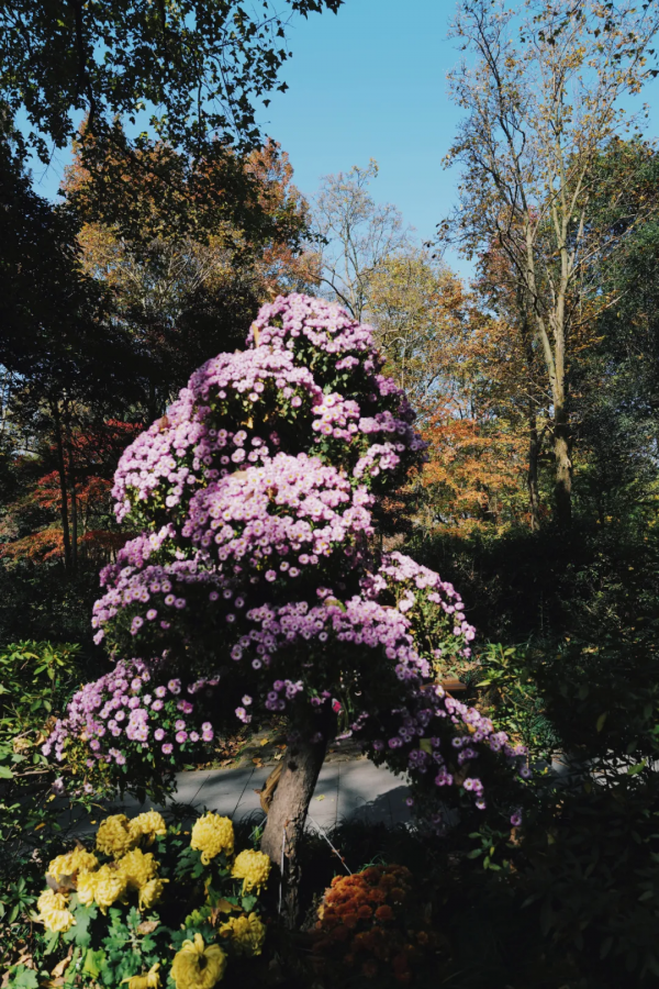 說杭州是美食荒漠,還不是你去錯了地 說杭州是美食荒漠,還不是你去錯了地