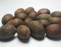 &OpenCurlyDoubleQuote;以毒攻毒&rdquo;，是癌症治療的正確選擇嗎？