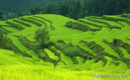 廣東的自駕遊，廣東省竟然還有這麼一個人少又有趣的旅遊勝地