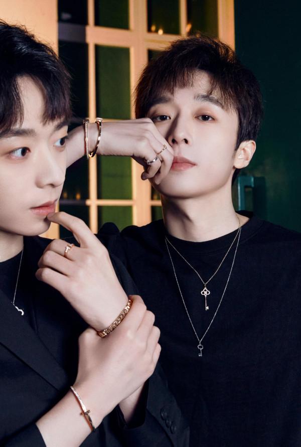 北大最帥雙胞胎苑子文苑子豪的蛻變，你知道他們現在怎麼樣了嗎