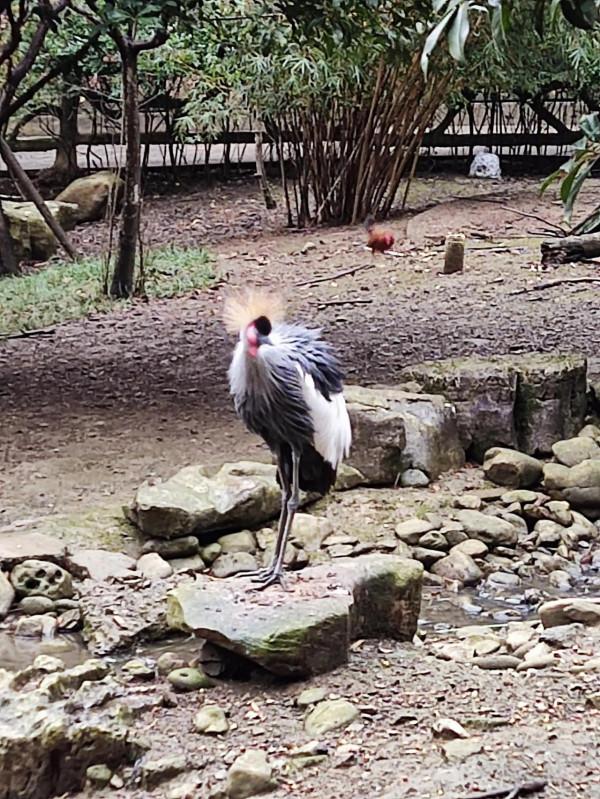 黔靈山公園，猴子不是唯一的亮點