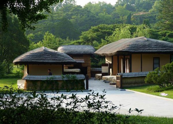 追憶我在朝鮮生活的日子(8) 追憶我在朝鮮生活的日子(8)