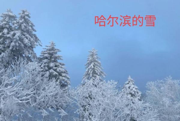 你喜歡冬日美景嗎？