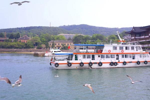 四面環海小島發現200多頭野生梅花鹿！遊客：它們怎麼上去的？