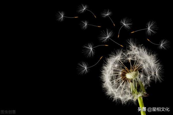 （周運）瑪法達_10月20日至26日星座運勢：優勝劣敗 終極考驗