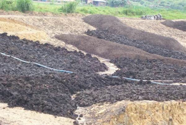 泥炭土是怎麼來的?弄清原理後,自己在家做,用來養花超有營養 泥炭土是怎麼來的?弄清原理後,自己在家做,用來養花超有營養