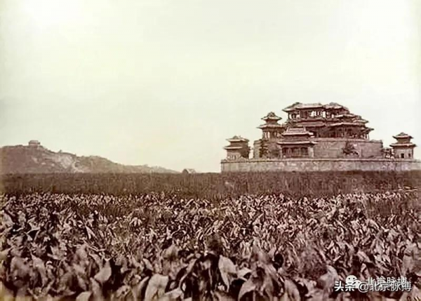 畫說北京丨頤和園裡的山河歲月