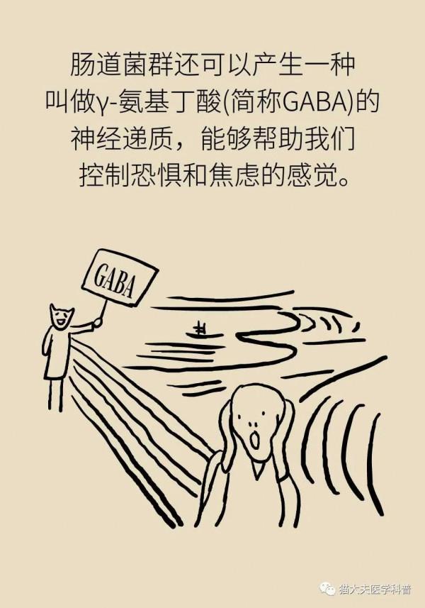 腸子能決定腦子？有趣的“腸-腦軸”瞭解一下