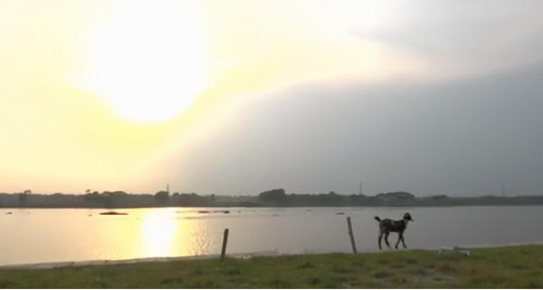 孟加拉國首都變成垃圾廠,生命之後裡沒有一條活魚 孟加拉國首都變成垃圾廠,生命之後裡沒有一條活魚