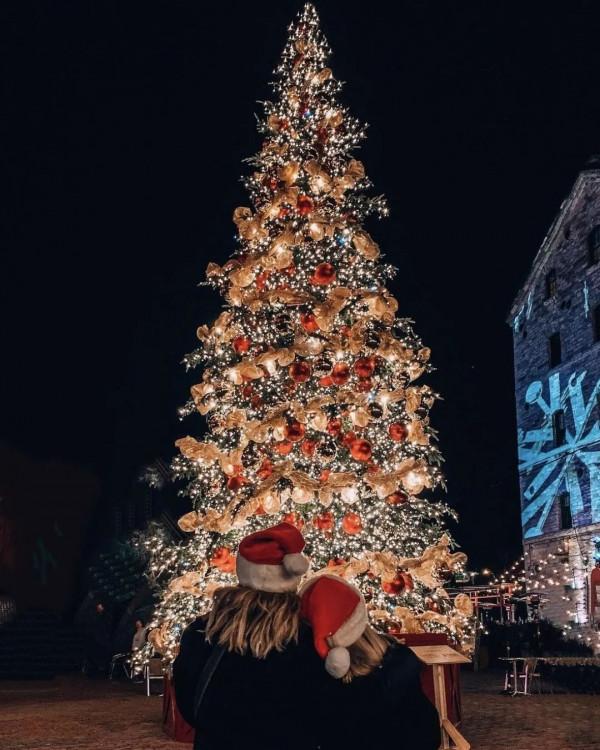 聖誕季：歲末有你，溫暖如斯