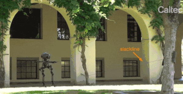 人形機器人“成精”了!能走鋼絲,還能飛天,未來將替代人類從事危險作業 人形機器人“成精”了!能走鋼絲,還能飛天,未來將替代人類從事危險作業