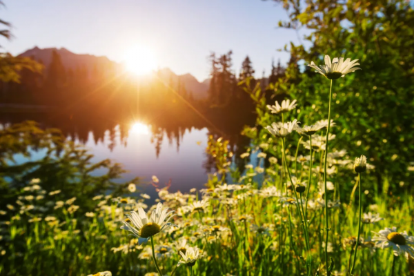 《國家地理》最新評出10箇中國最美的旅行地，這些地方你去過幾個