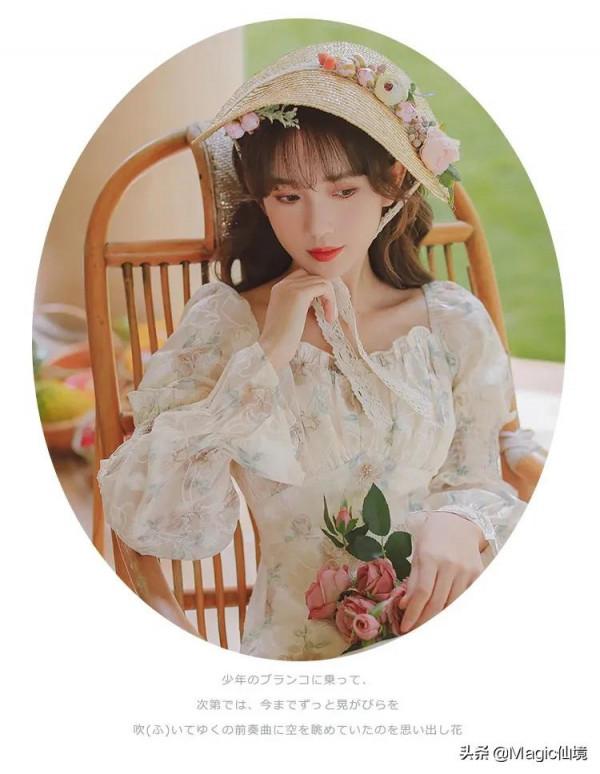 日常穿搭-刺繡公主連衣裙