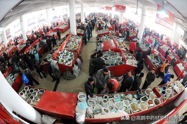 高鵬說藥材:當前中藥材行業正處於變革調整期,從業者如何應對? 高鵬說藥材:當前中藥材行業正處於變革調整期,從業者如何應對?