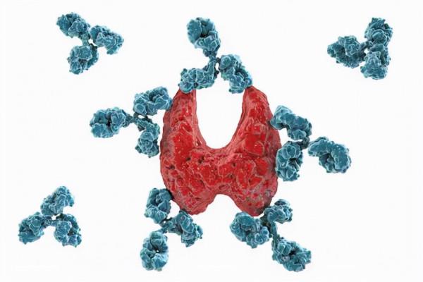 優甲樂不是“神藥”!服用要謹記這1點,避免優甲樂“無效” 優甲樂不是“神藥”!服用要謹記這1點,避免優甲樂“無效”