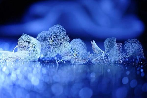 成年人的世界從來沒有容易兩字，能輕易放下的只是生命中的過客