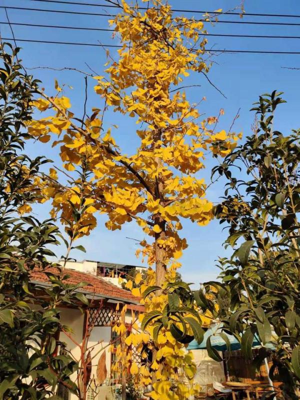 那些自律的、一直投資自己的人