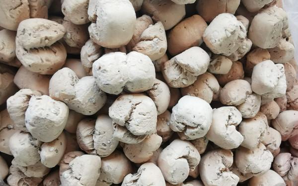 山西人拿“土”當美食,為啥很多人還愛吃?網友:吃的不是土 山西人拿“土”當美食,為啥很多人還愛吃?網友:吃的不是土