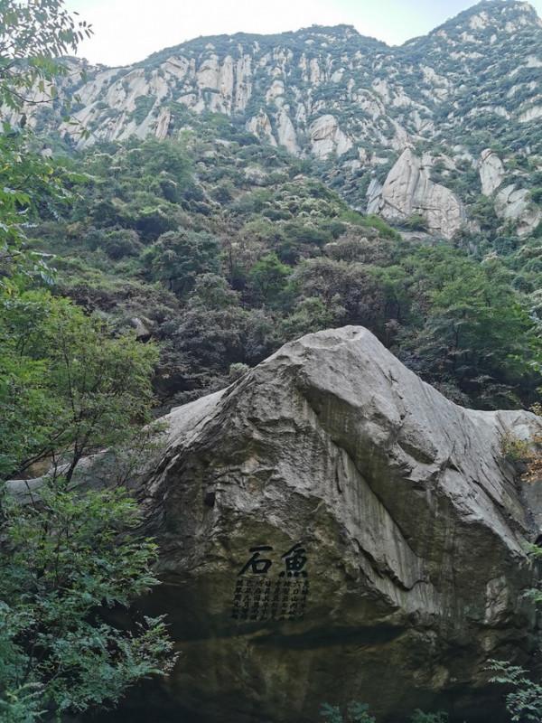 自古華山一條路的山門 自古華山一條路的山門