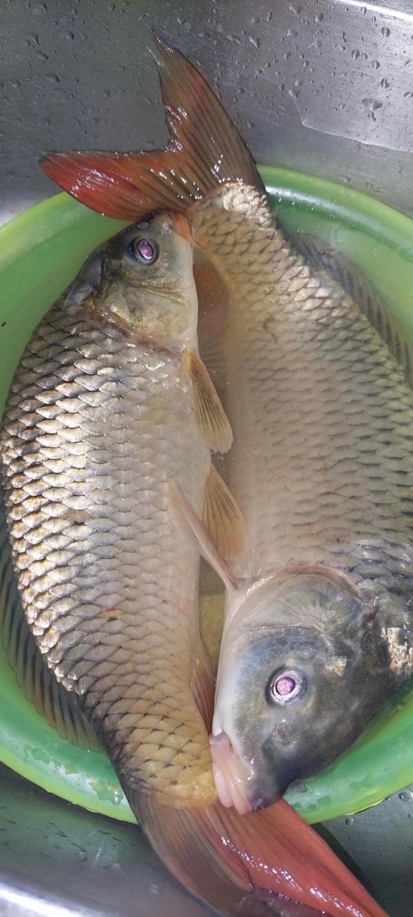 冬季垂釣之我所見