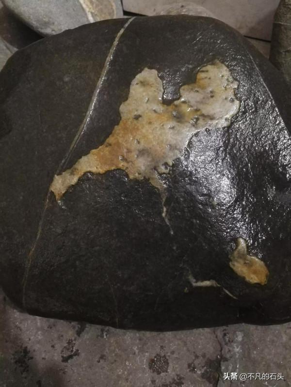 我的奇石全靠撿,有動物、植物、人物、文字等奇石,非常豐富 我的奇石全靠撿,有動物、植物、人物、文字等奇石,非常豐富