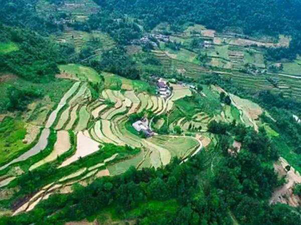 老農金絲楠木屋被估價8億，最後卻以100萬成交，兒子今窮得打光棍