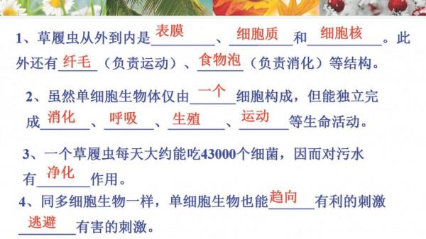 請家長列印：七年級上冊生物 期末考點+思維導圖+ 答案模板
