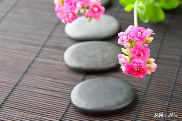 每日一詞《清平樂》賞析