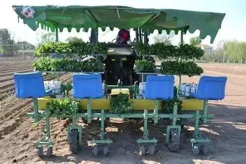 田間地頭出人才！北京6名資深農民評上教授級別！