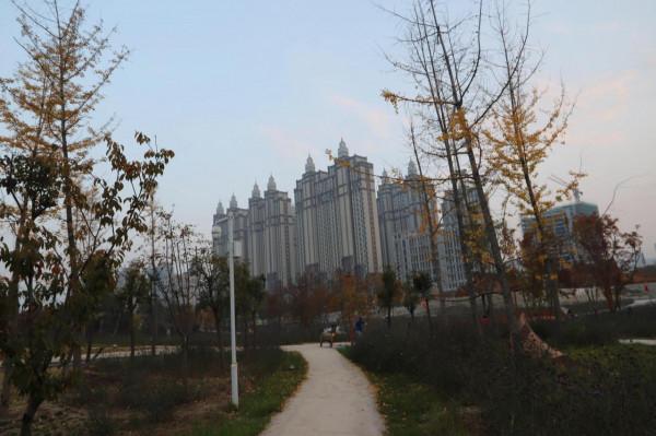 深秋季節的廟底溝考古文化公園