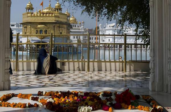 華麗的印度金廟 華麗的印度金廟