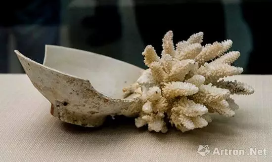 新加坡海域古沉船發現大批元青花