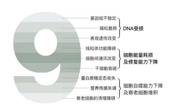 衰老有可能逆轉嗎？