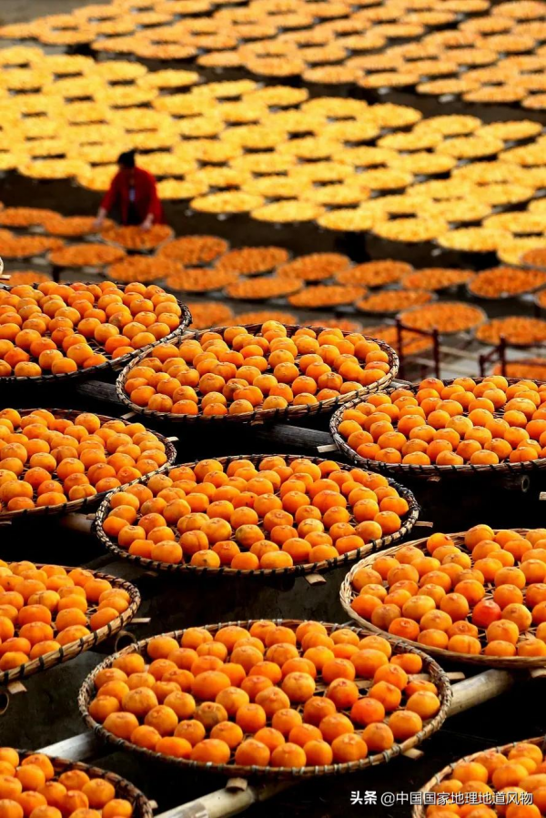 557億斤！5個第一！3個第二！水果大省廣西，到底有多“豪”？