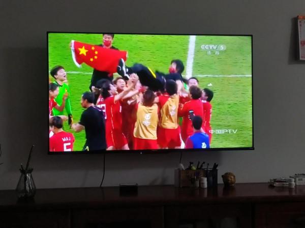 鏗鏘玫瑰 頑強綻放