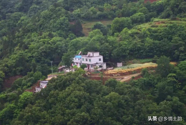 吳有臣:巴士小鎮 吳有臣:巴士小鎮