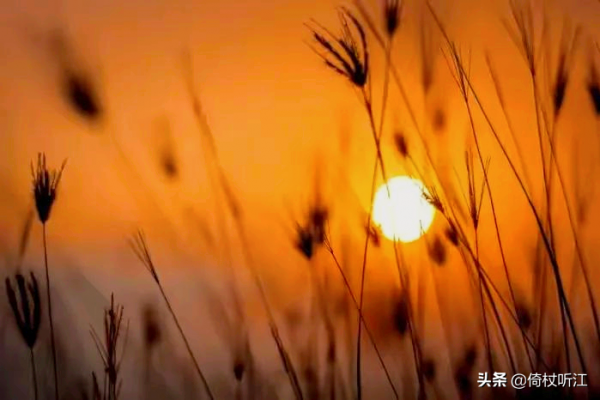 無悔人生,悲歡幾何 無悔人生,悲歡幾何