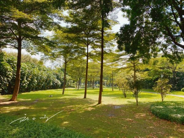 廣州市中心的“富人島”,就在珠江中間,遊客卻說:名字不太好聽 廣州市中心的“富人島”,就在珠江中間,遊客卻說:名字不太好聽